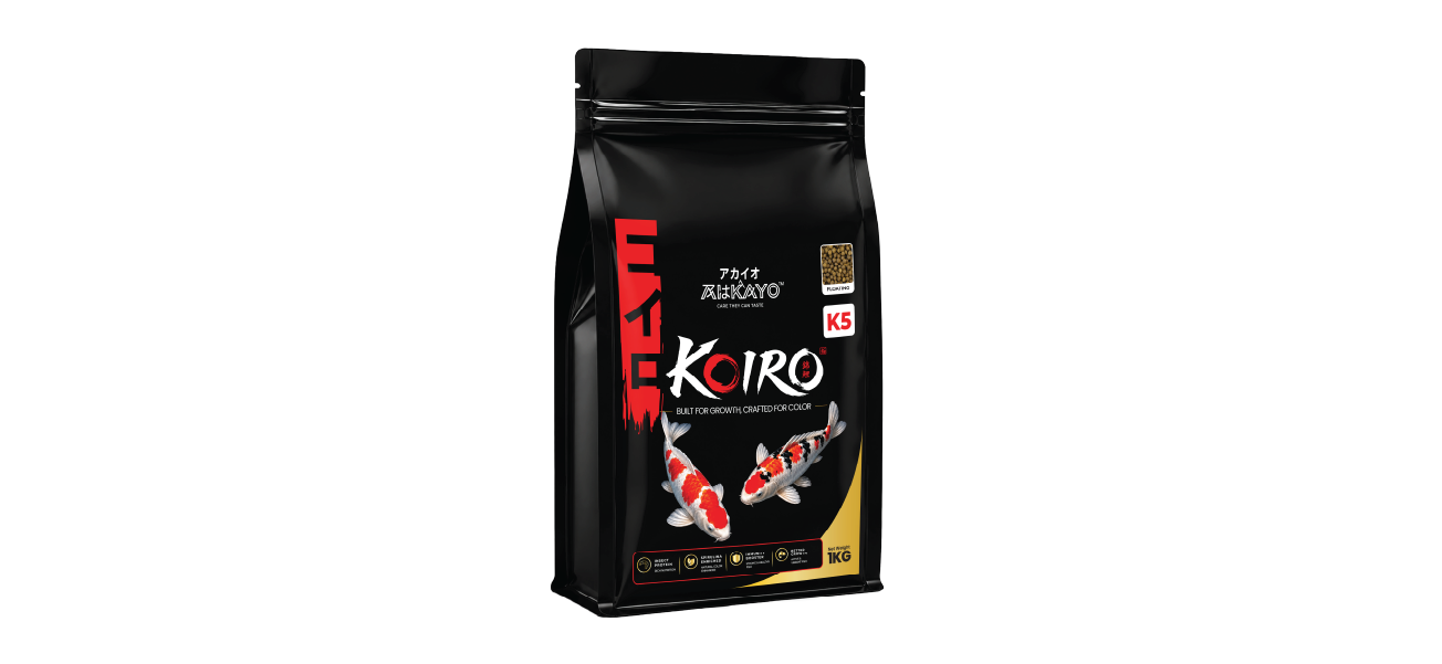 AHKAYO Koi Special